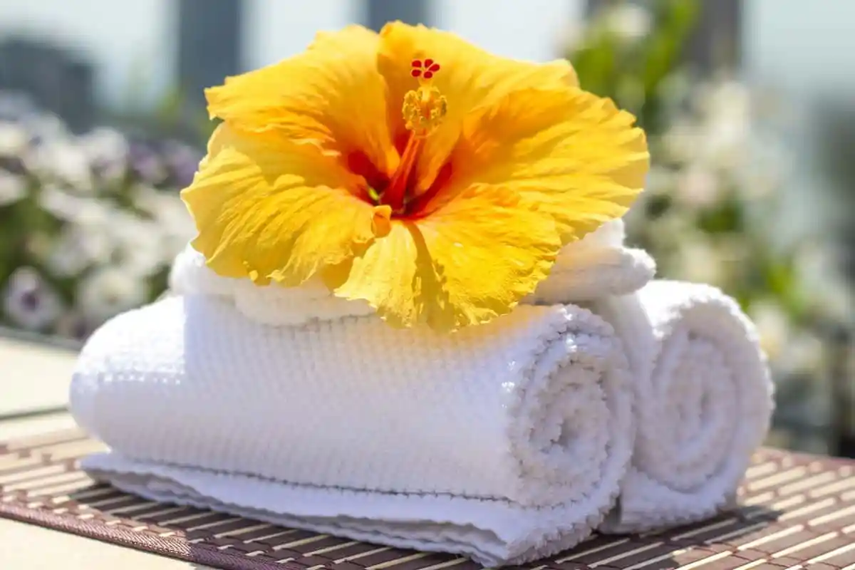 towels